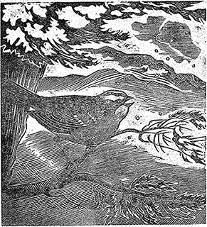 Mark Fowler woodcut